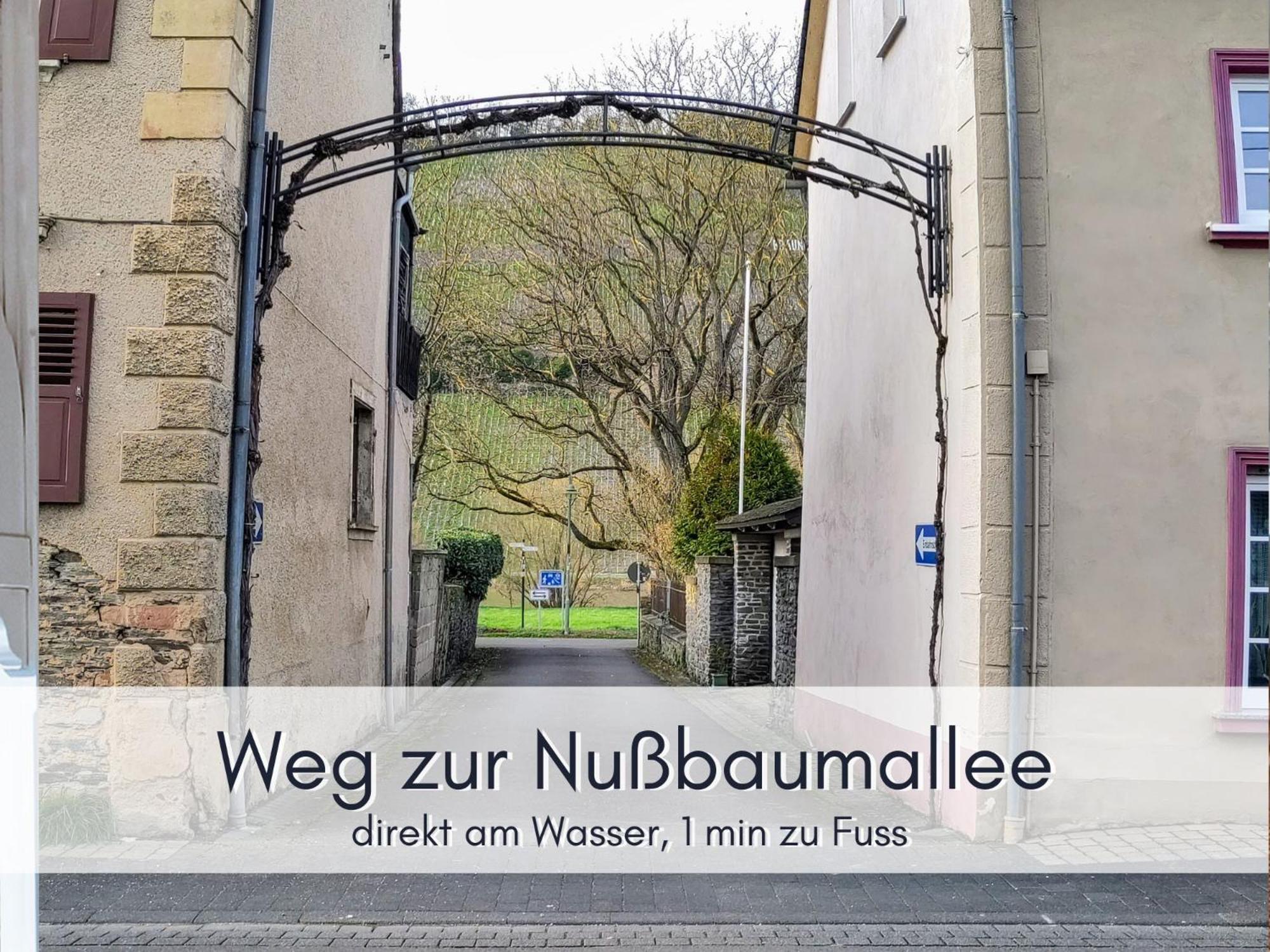 Komfort Fewo L Moselstay L Maximal 4 Personen Und Baby I Brauneberg Mosel I Wifi I Exteriér fotografie