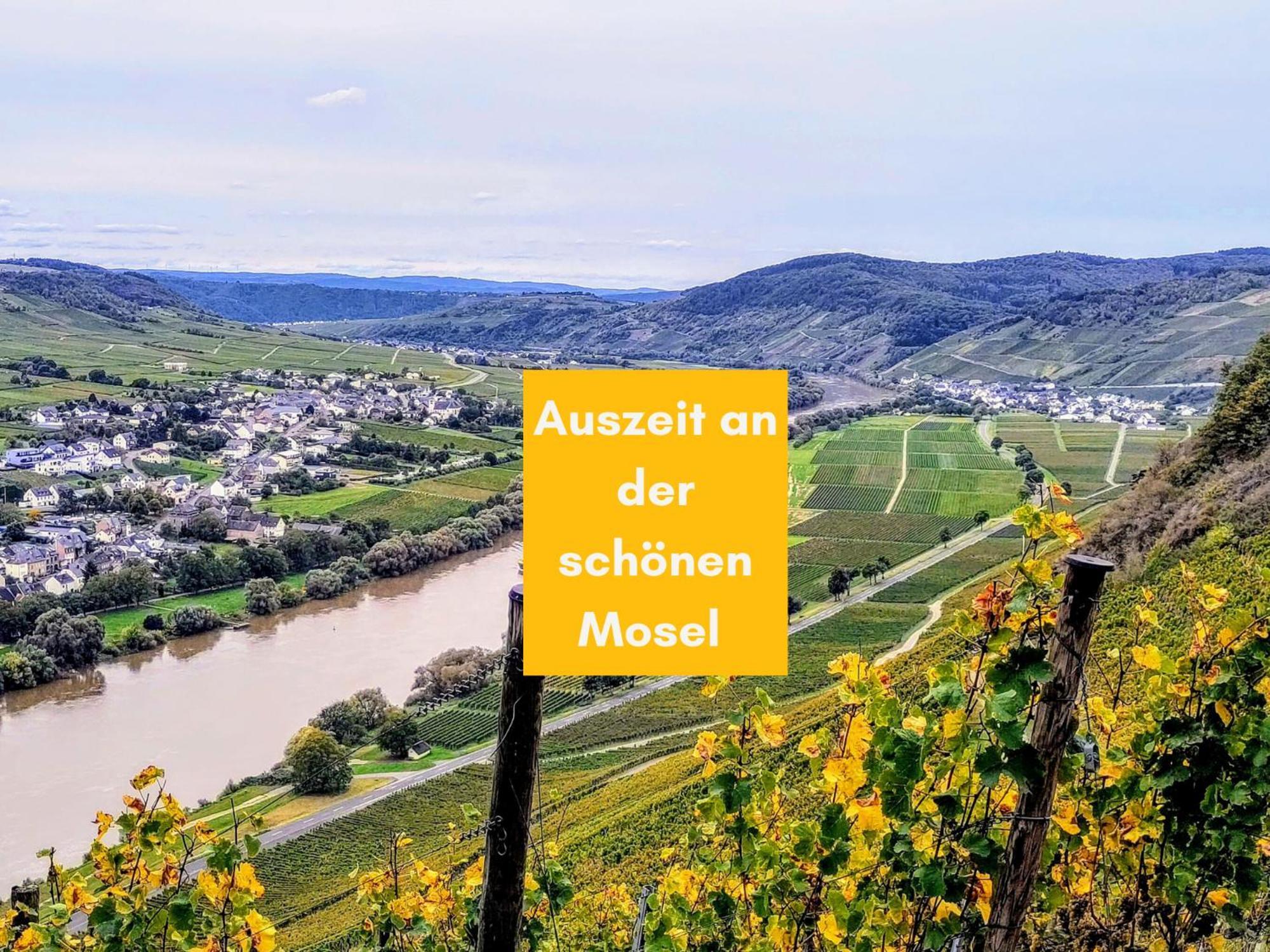 Komfort Fewo L Moselstay L Maximal 4 Personen Und Baby I Brauneberg Mosel I Wifi I Exteriér fotografie